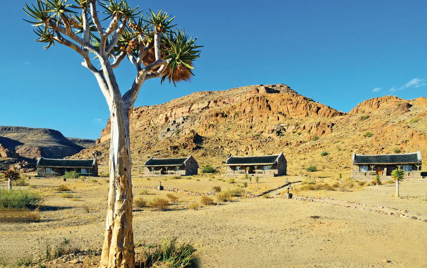 Canyon Village Tiere