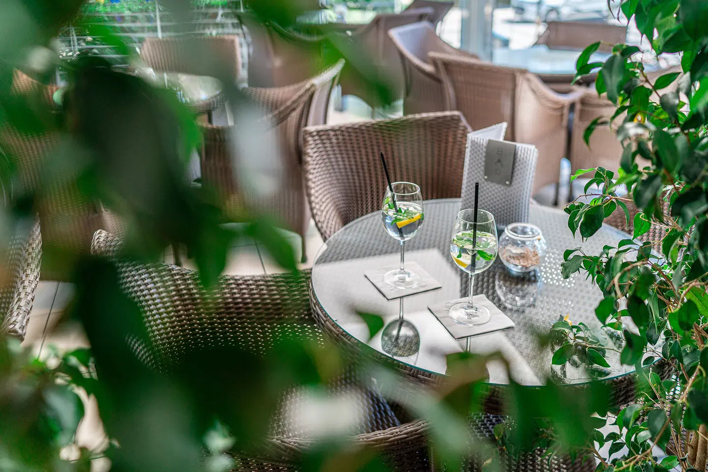 Martini Garten