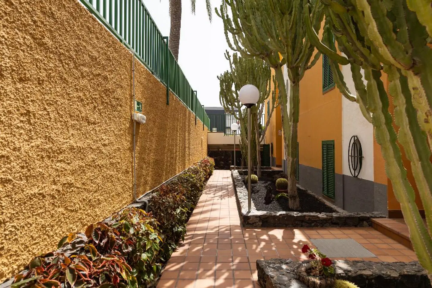 Apartamentos Cordial Judoca Beach Terrasse