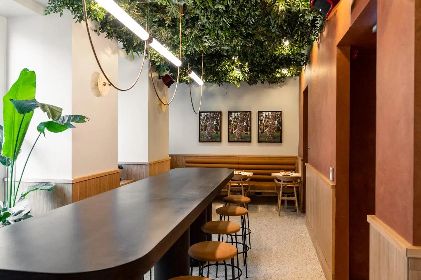 Verno House Bar
