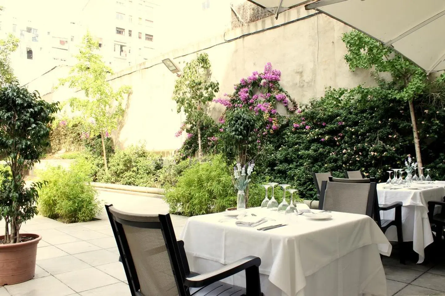 Evenia Rossello Terrasse
