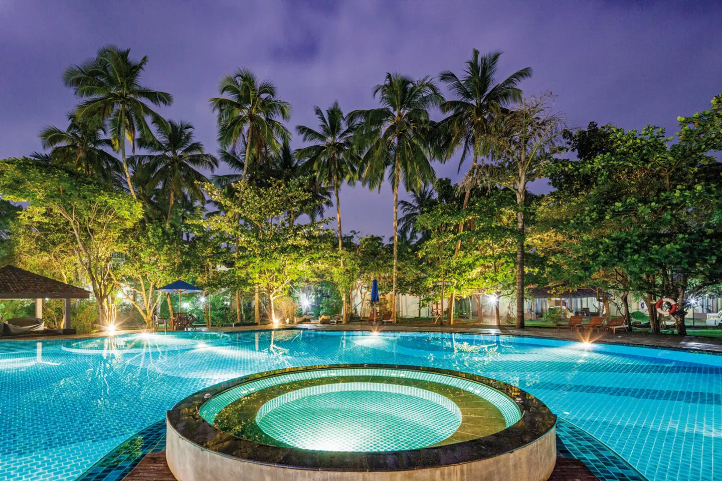 Siddhalepa Ayurveda Health Resort OUTDOOR_POOL