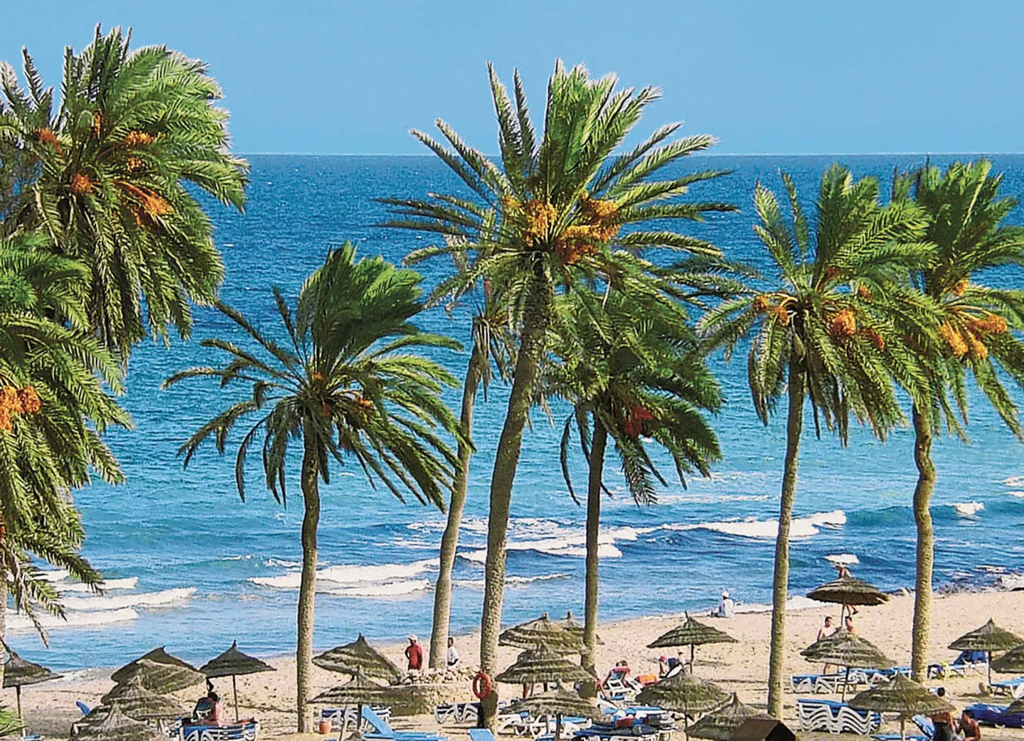 Zephir Strand