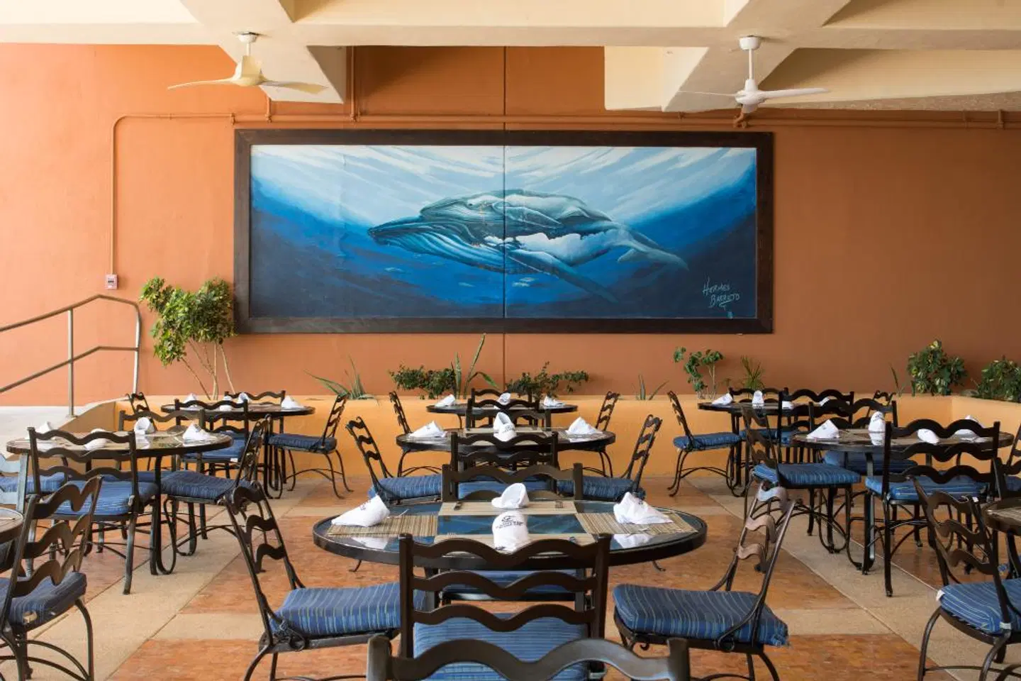 Club Regina Los Cabos managed by Accor Restaurant