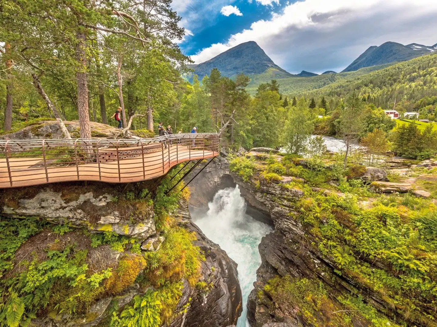 Fjorde und Atlantikküste Garten
