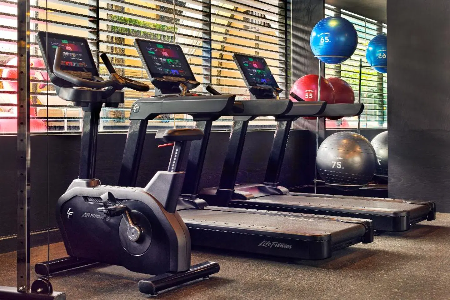 Pullman Singapore Orchard SPORTS_AND_LEISURE