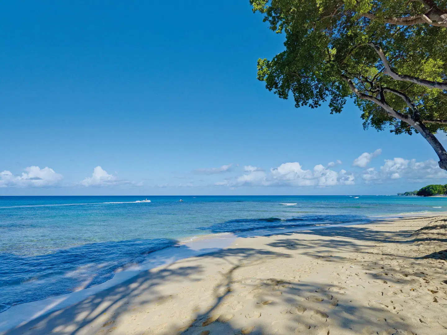 Tamarind, Barbados, An Autograph Collection All Inclusive Resort BEACH