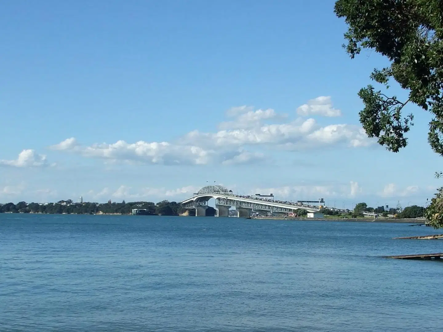 Arthotel The Great Ponsonby LANDSCAPE