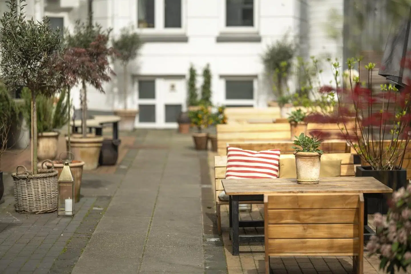 Hotel Mayfair Terrasse