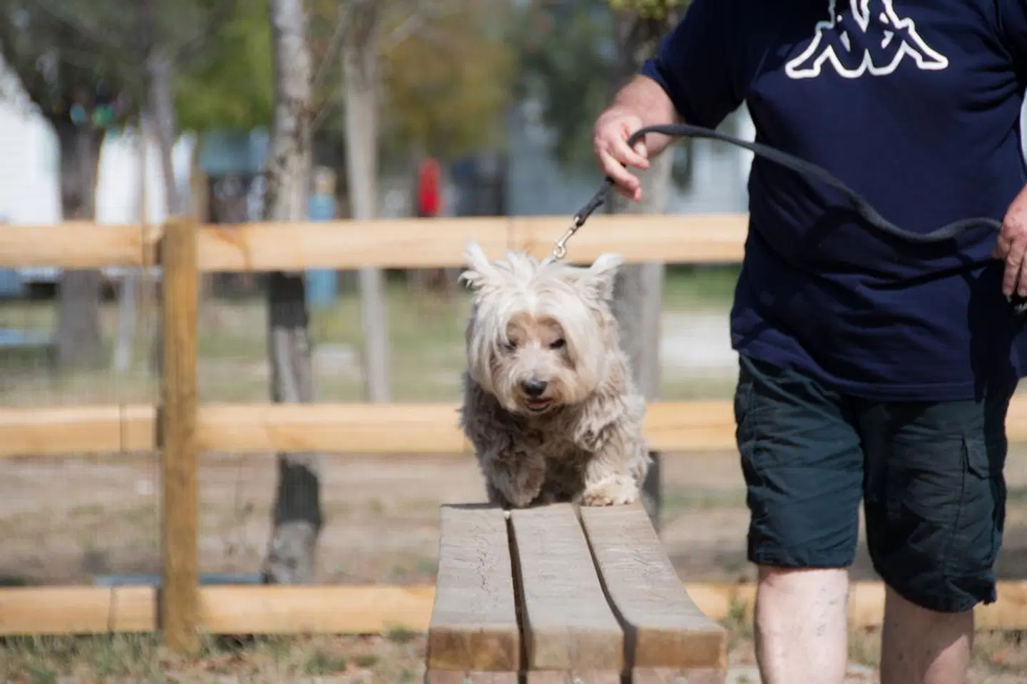 Spina Family Camping Village Tiere