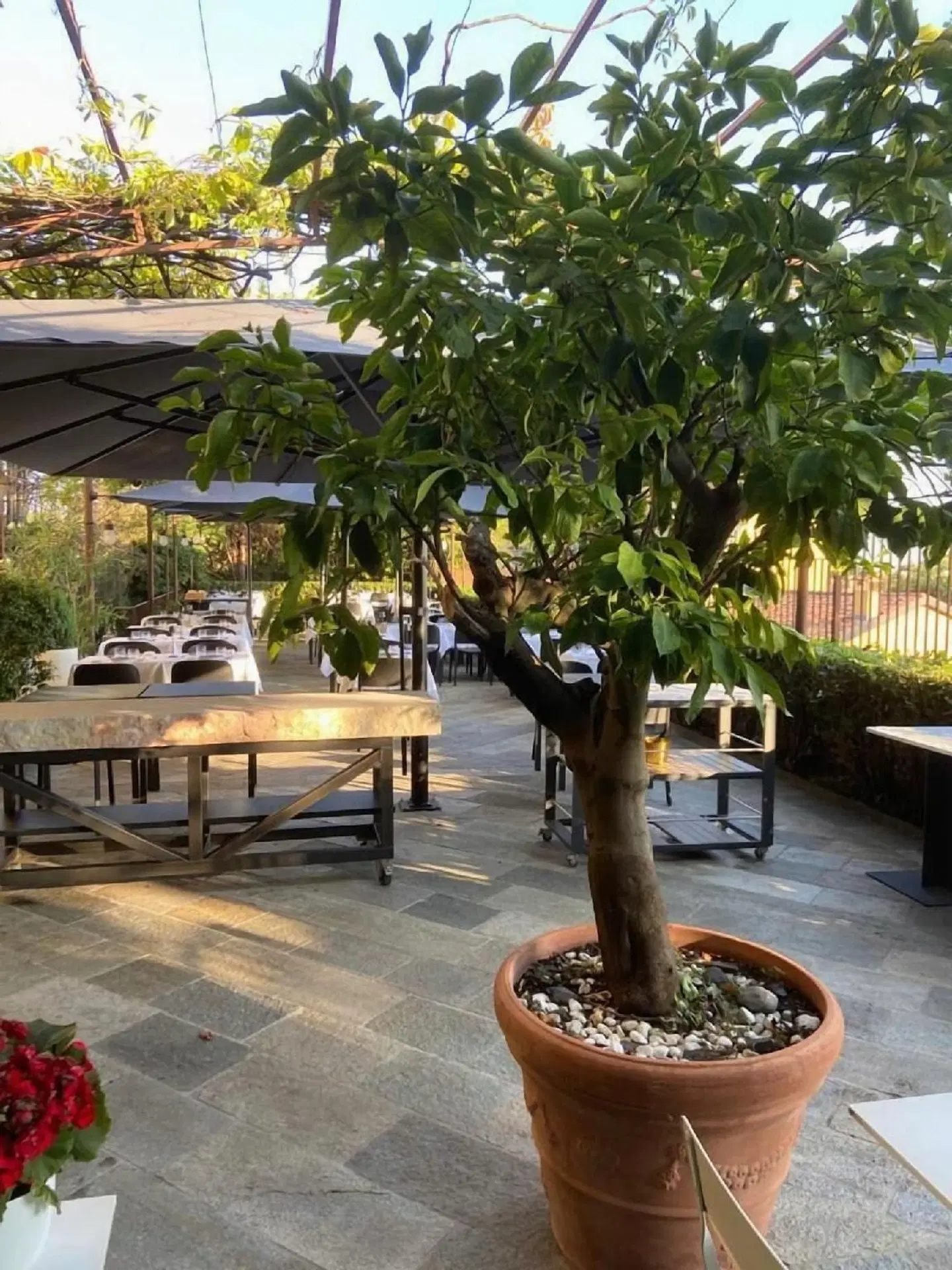 Le Funi Hotel Terrasse