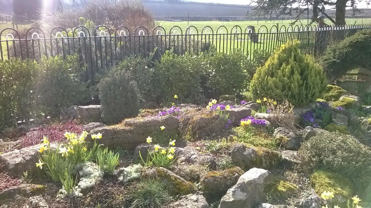 Lower Bryanston Farm LANDSCAPE