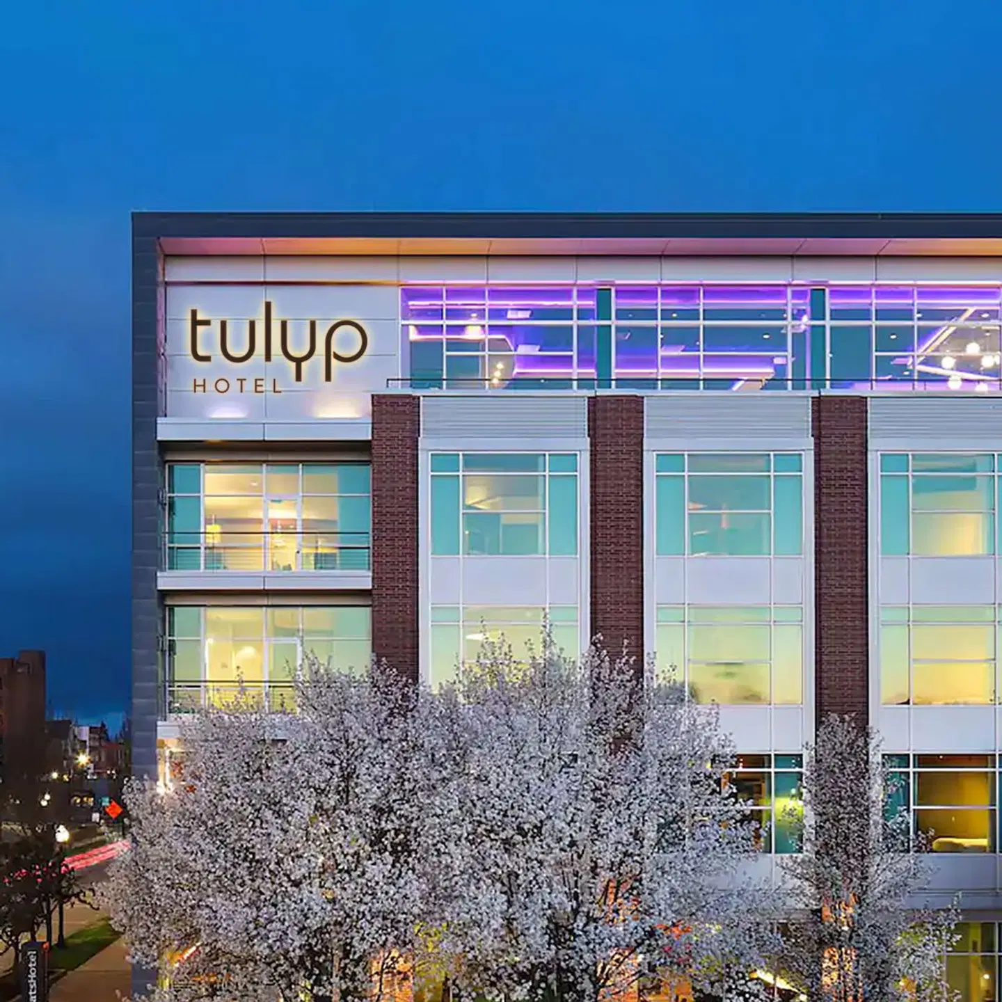 Tulyp, Tapestry Collection by Hilton EXTERIOR