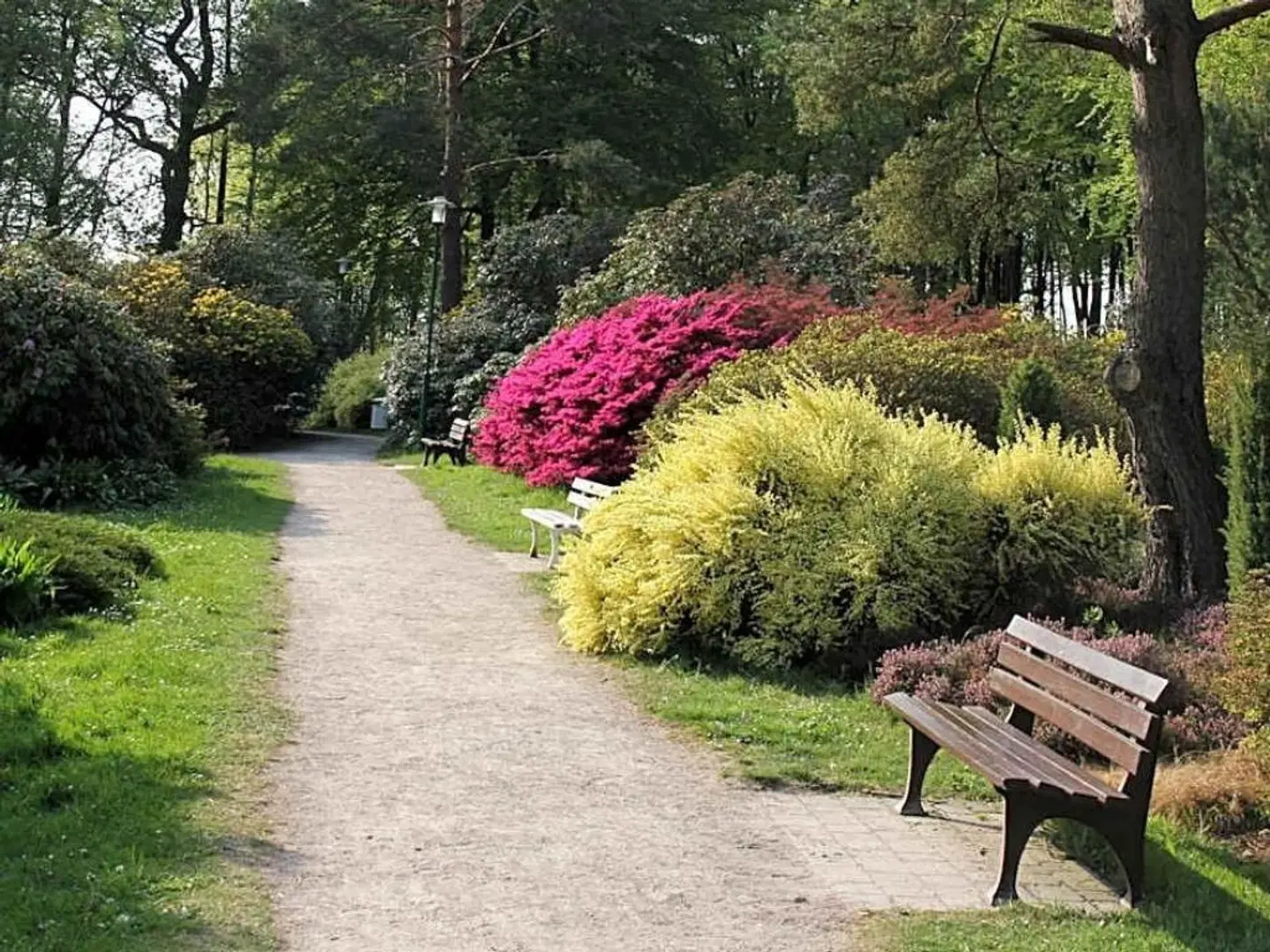 Ostseewoge Garten