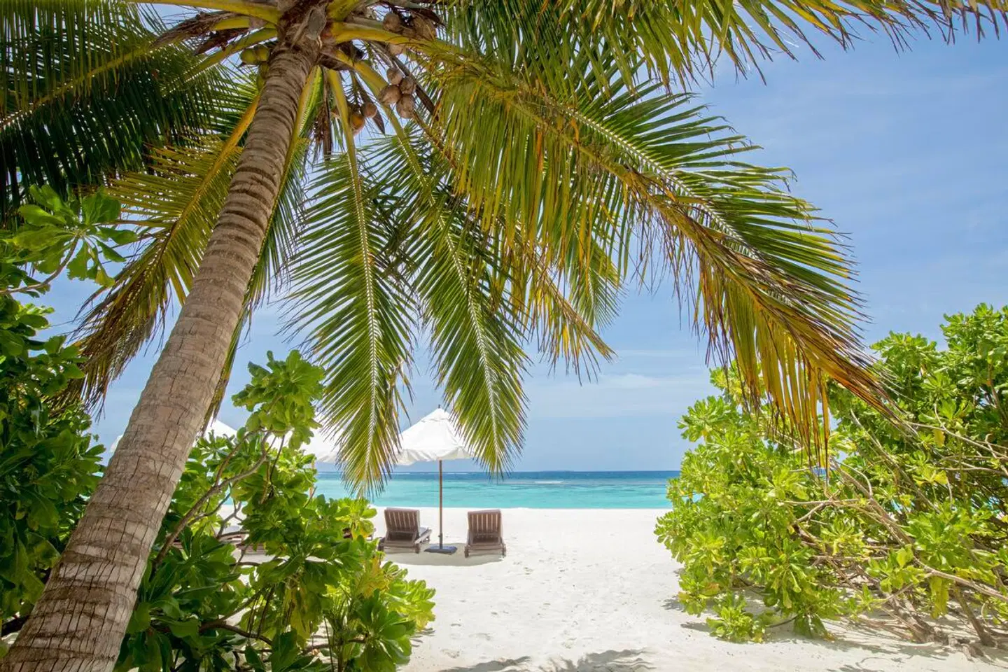 V Villas Maldives at Mirihi - MGallery Collection Strand