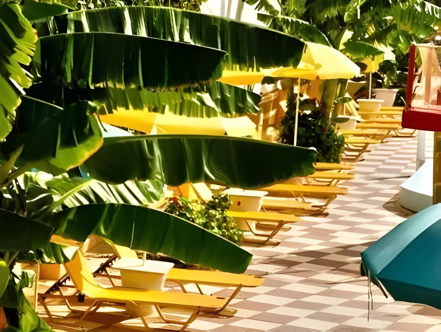 Vanessa Hotel Terrasse
