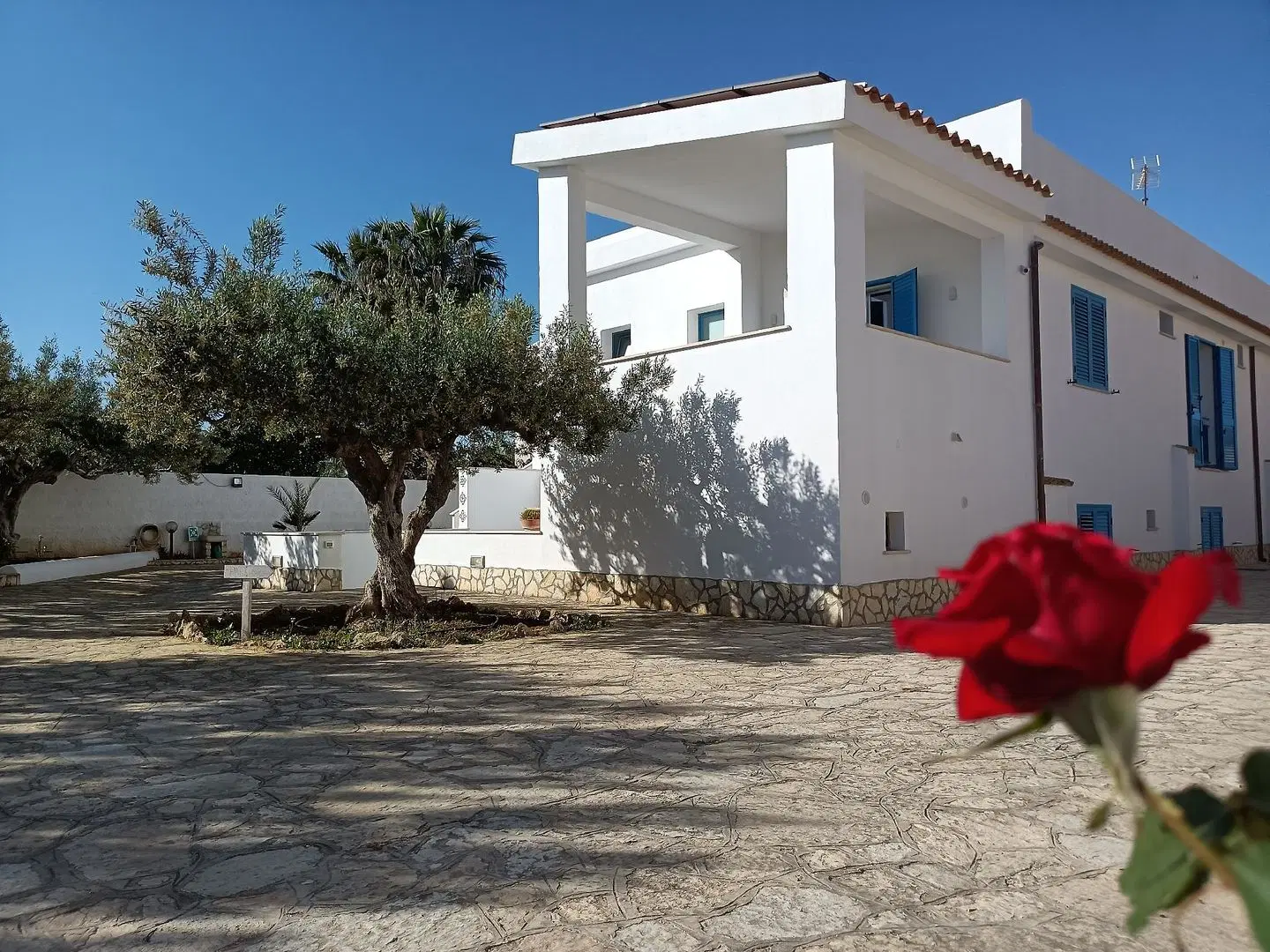 Signorino Resort EXTERIOR