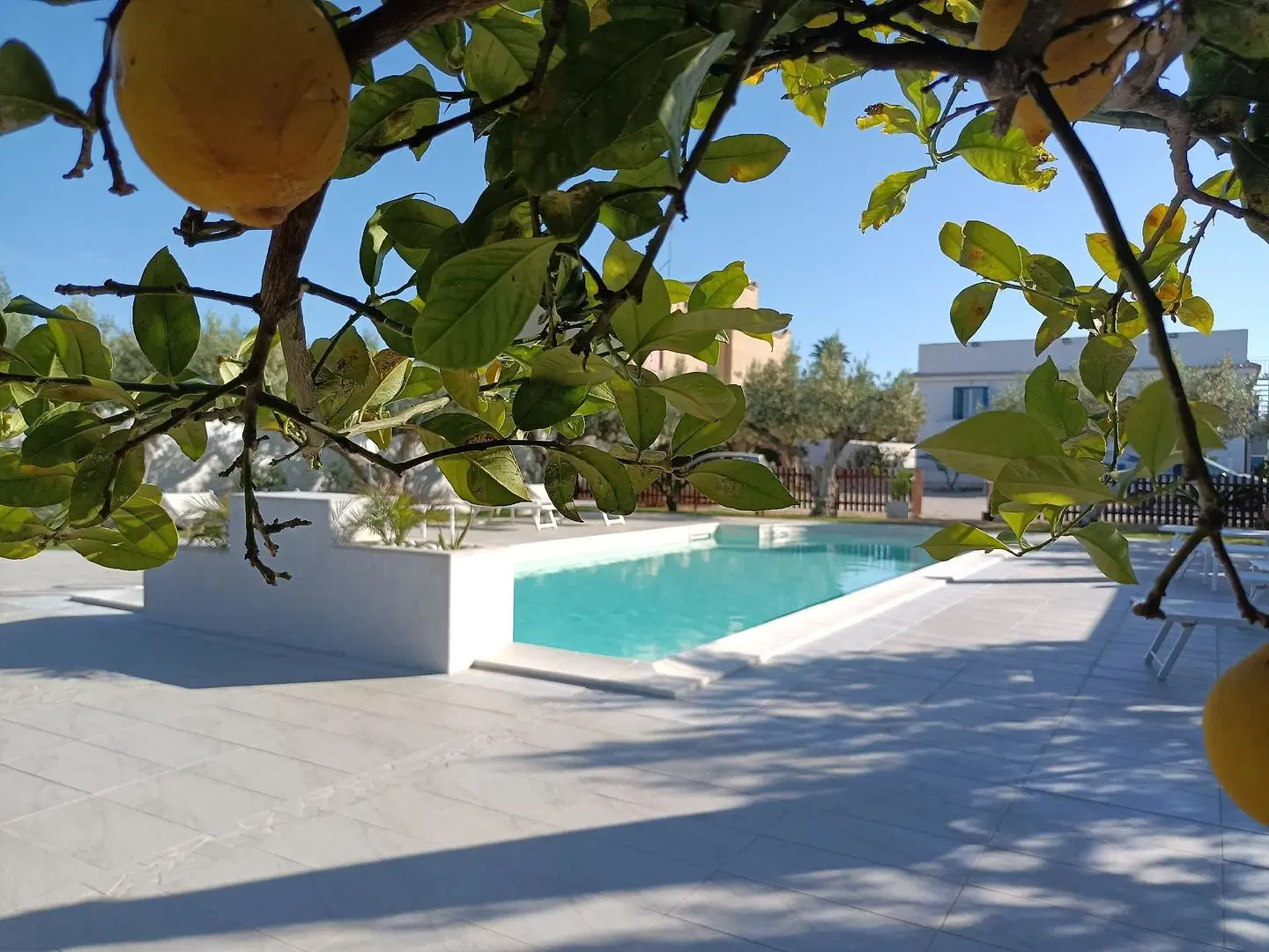 Signorino Resort OUTDOOR_POOL