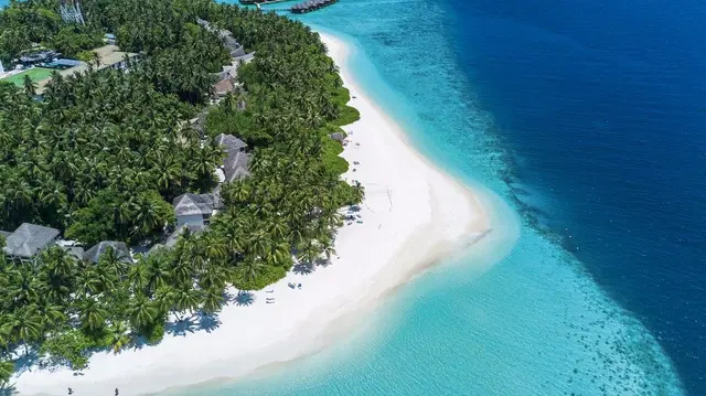 Fihalhohi Maldives LANDSCAPE