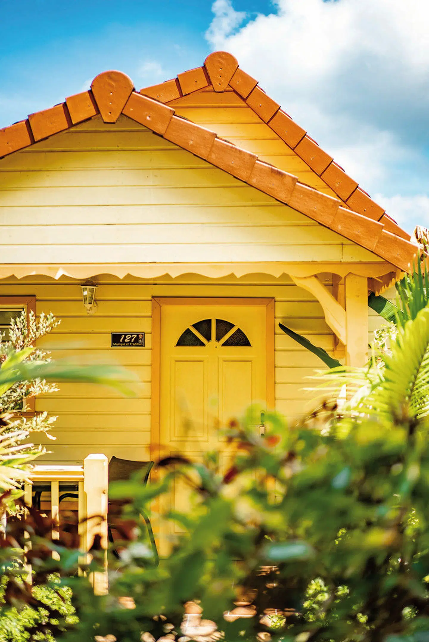 Bambou EXTERIOR