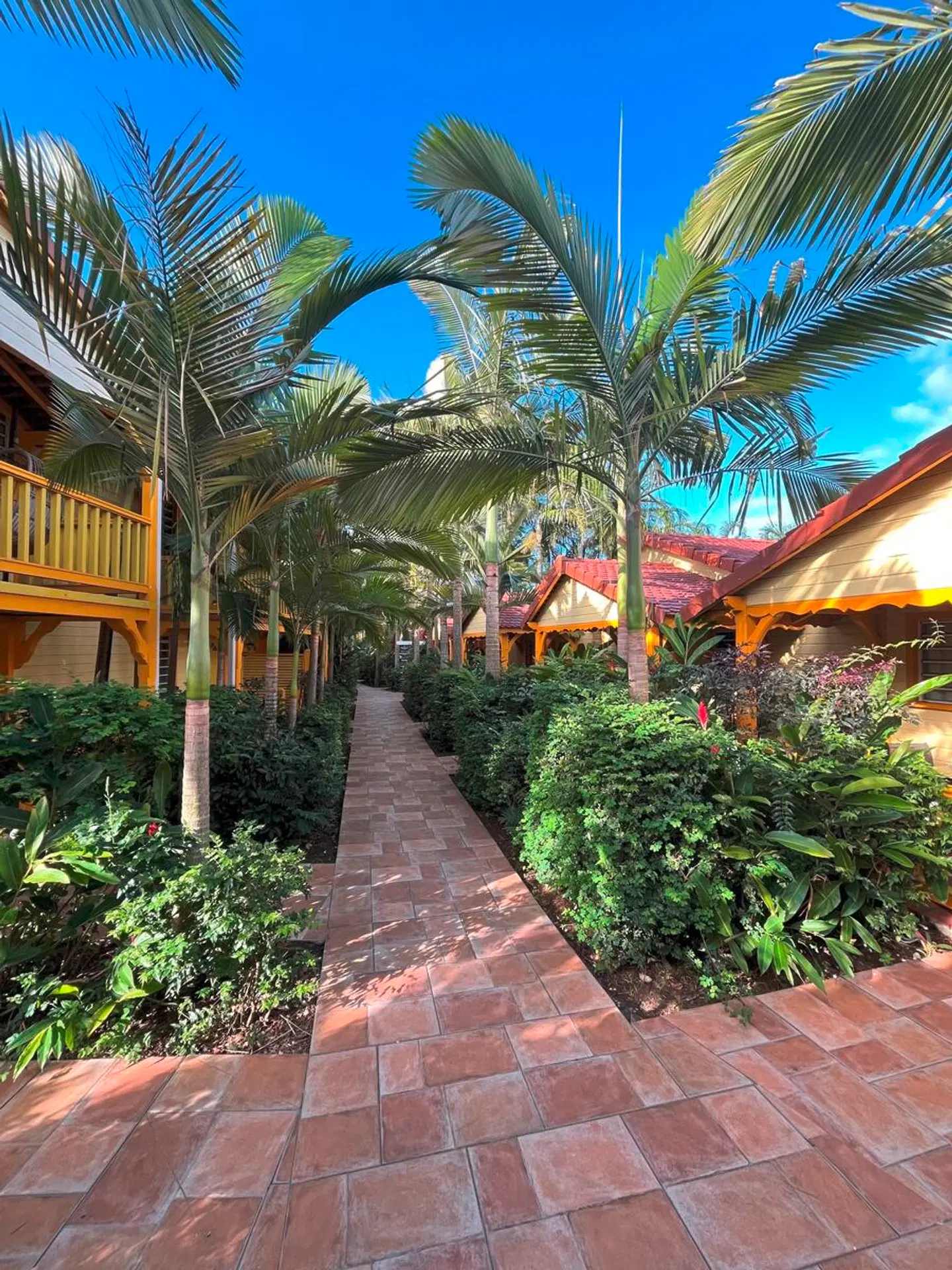 Bambou Garten