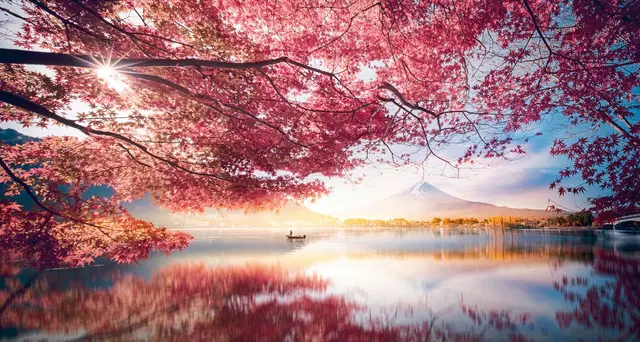 Japan entdecken (nur Landprogramm) LANDSCAPE
