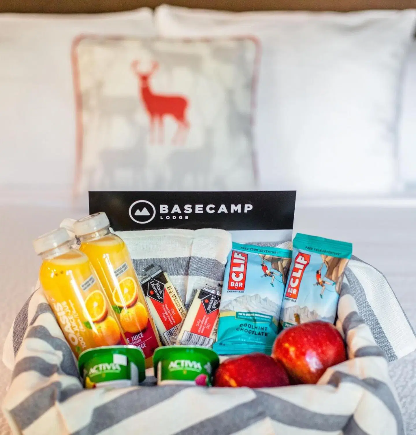 Basecamp Lodge SPORTS_AND_LEISURE