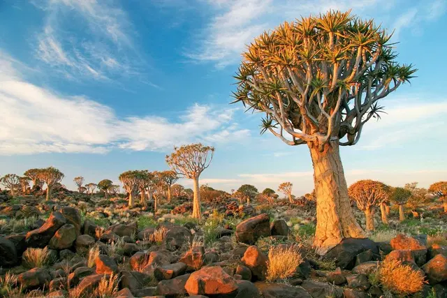 Best of Namibia Standard LANDSCAPE
