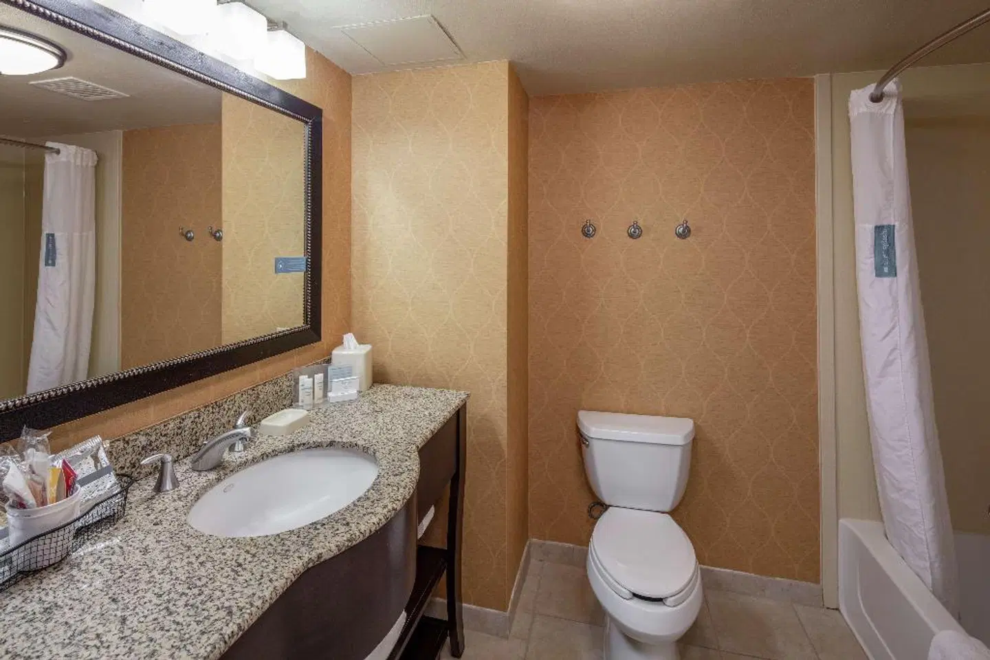 Hampton Inn & Suites Austin Cedar Park-Lakeline Badezimmer