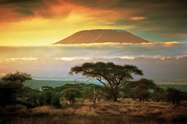 Tsavo & Amboseli LANDSCAPE