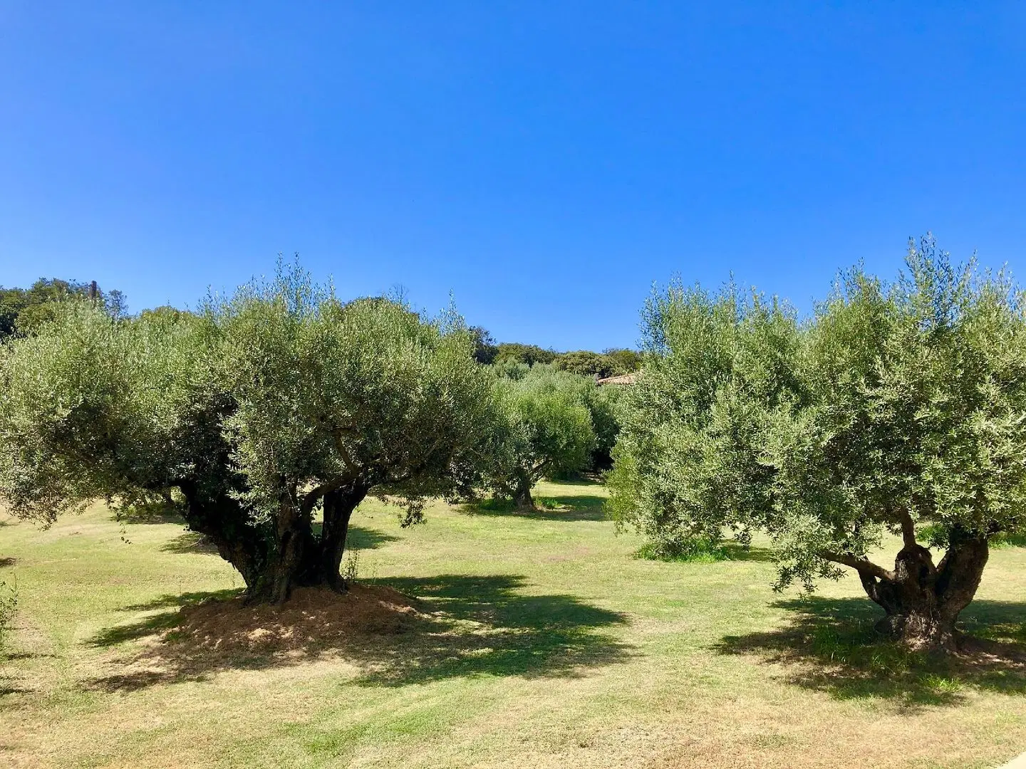 Nature & Design Garten