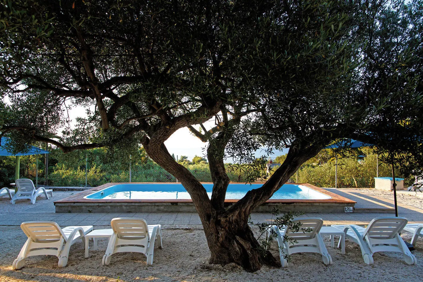 Waterman Beach Village Camp & Glamping Garten