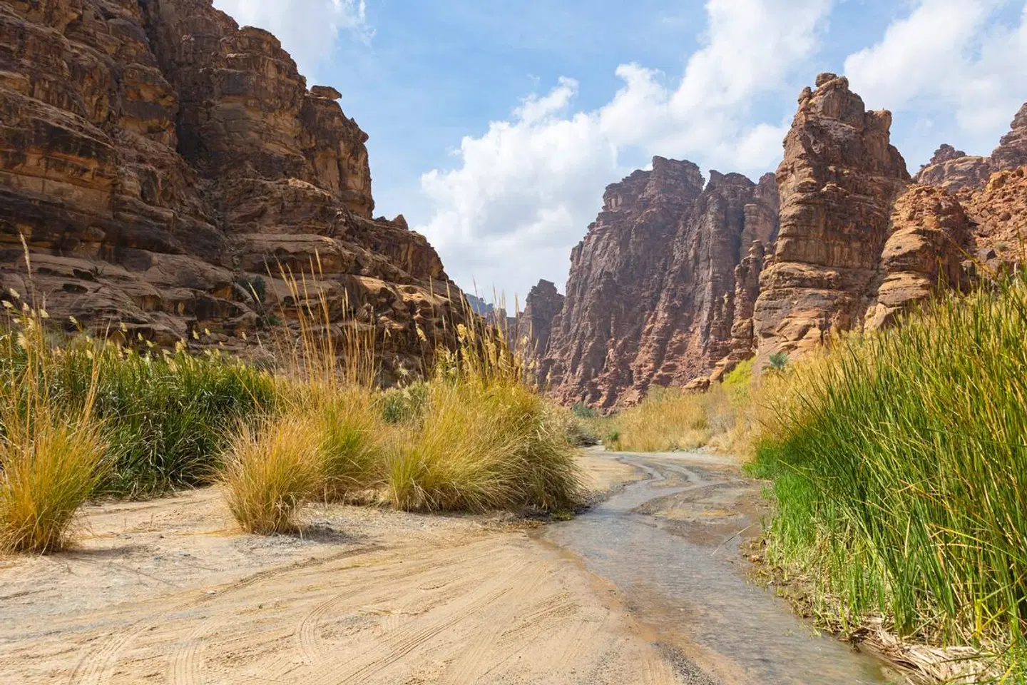Wunder Saudi-Arabiens LANDSCAPE
