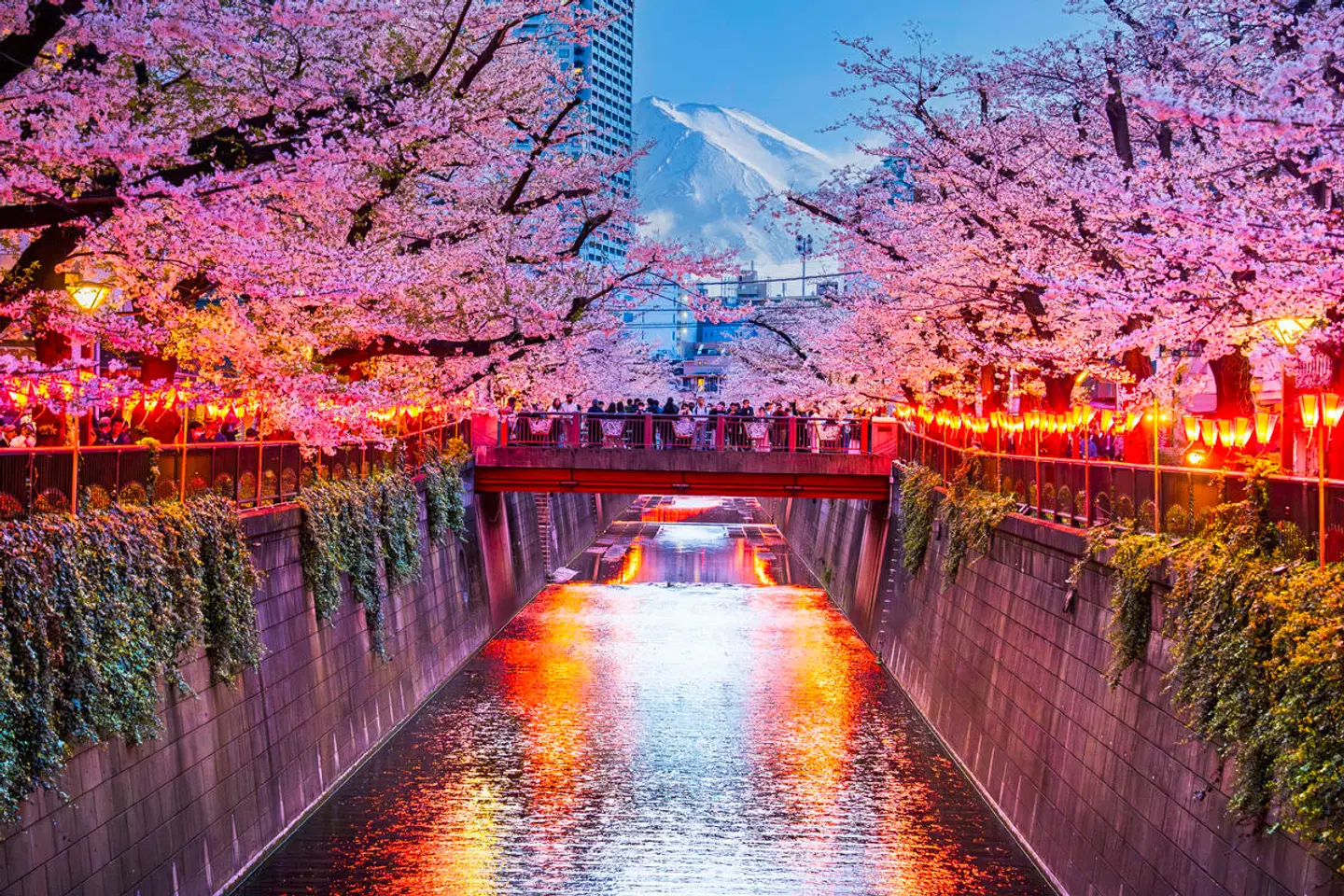 Japans goldene Route (nur Landprogramm) Terrasse
