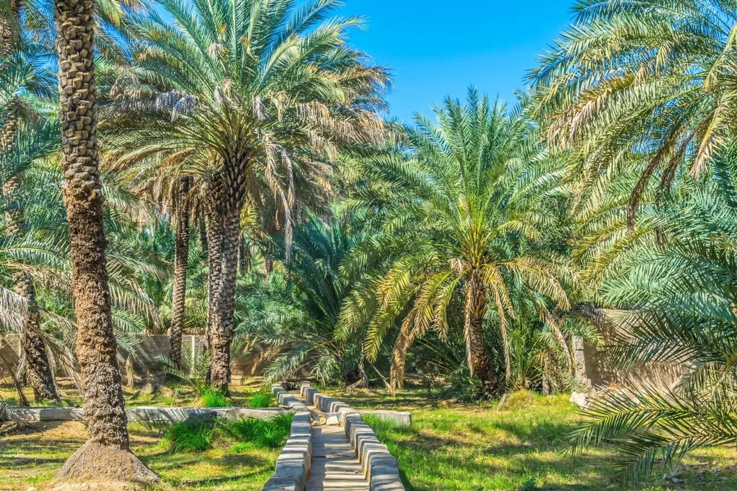 Dubai & Oman: Vom Puls der Metropole zur Seele des Orients Garten