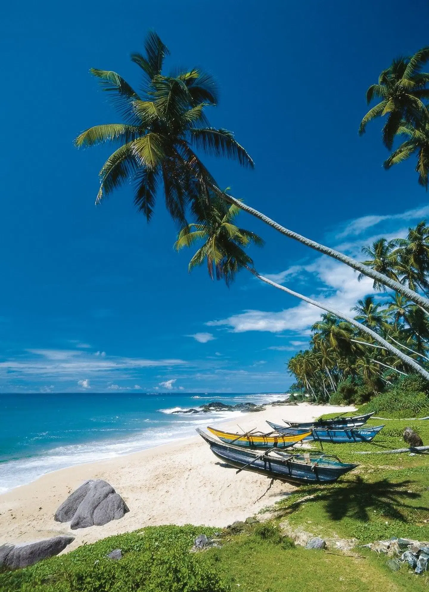 Sri Lanka Classic (Privatreise) Strand