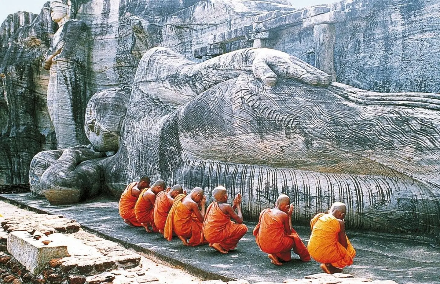 Sri Lanka intensiv Tiere