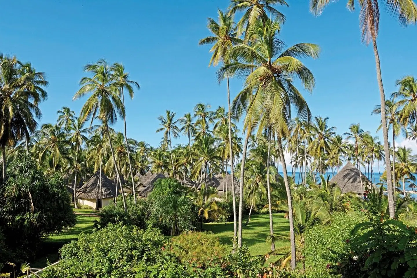 ADAC Special Tansania - Sansibar: Insel der Gewürze & Träume Garten