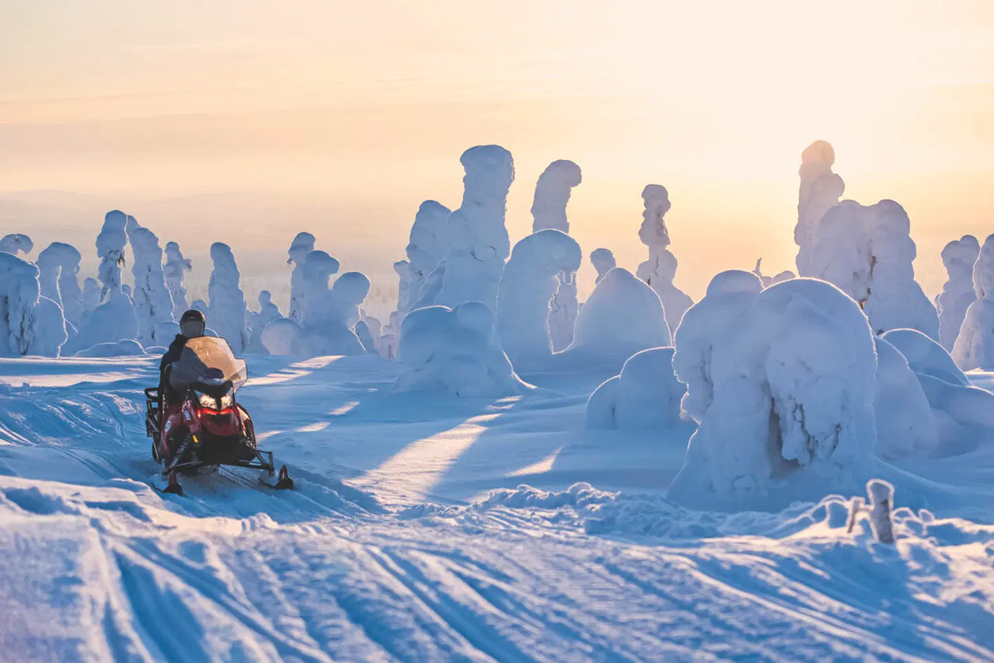 Winterspaß in Finnisch Lappland SPORTS_AND_LEISURE