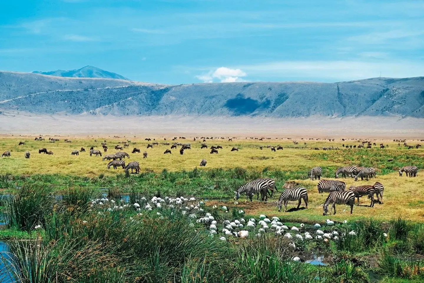 Tansania Pur LANDSCAPE