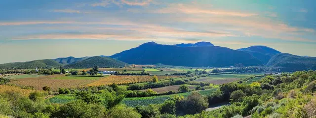Wellness, Wein & wilde Tiere LANDSCAPE