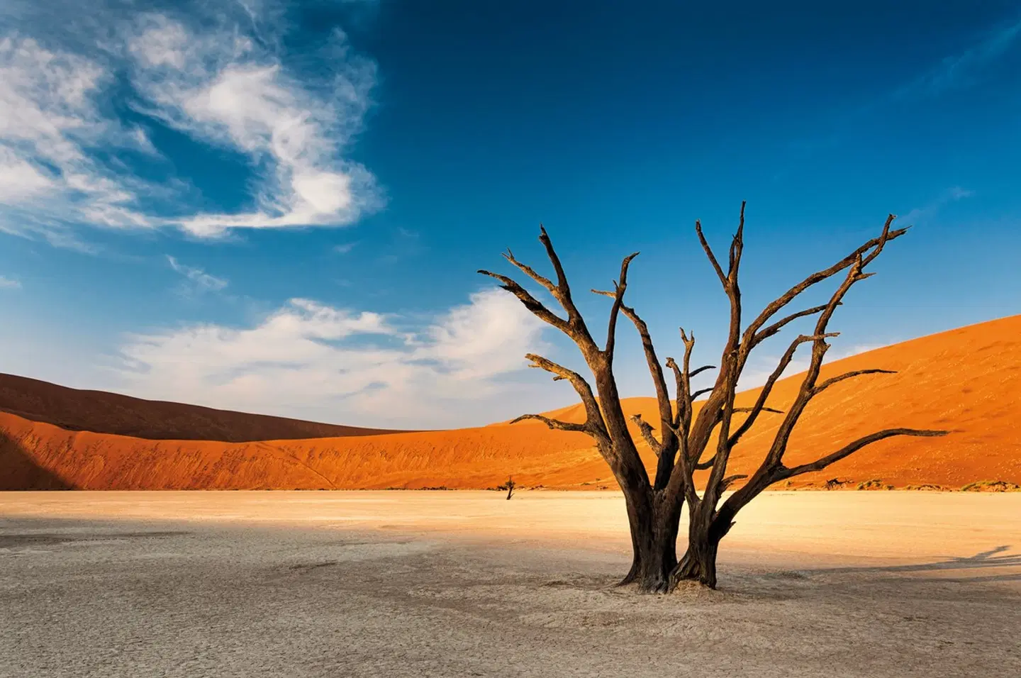 Dünenzauber Sossusvlei Strand
