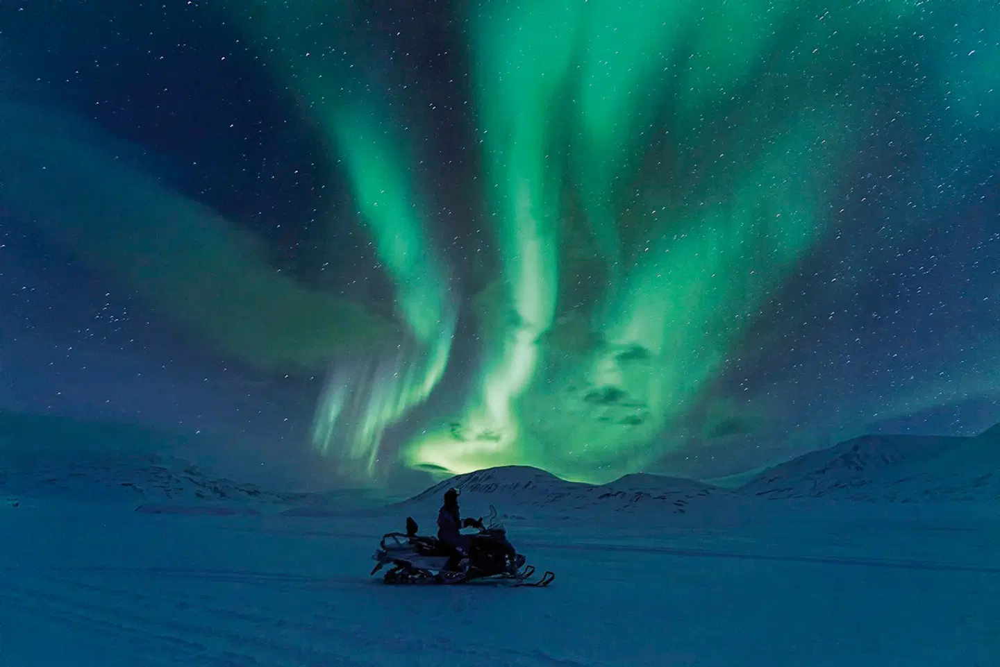 Abisko & ICEHOTEL - Das pure Nordlichtabenteuer Tiere