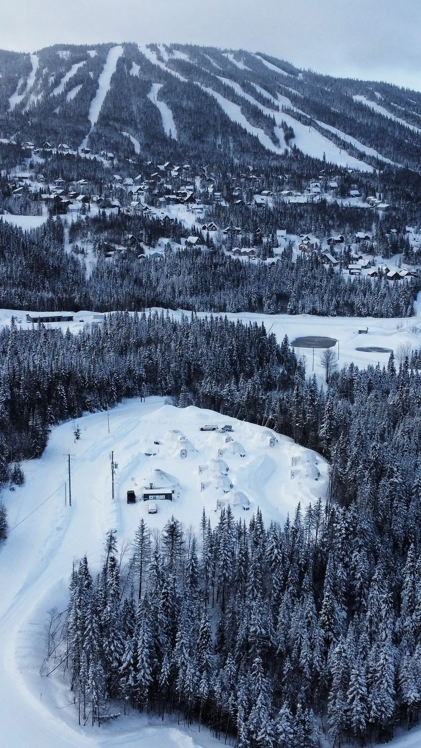 Imago Village LANDSCAPE