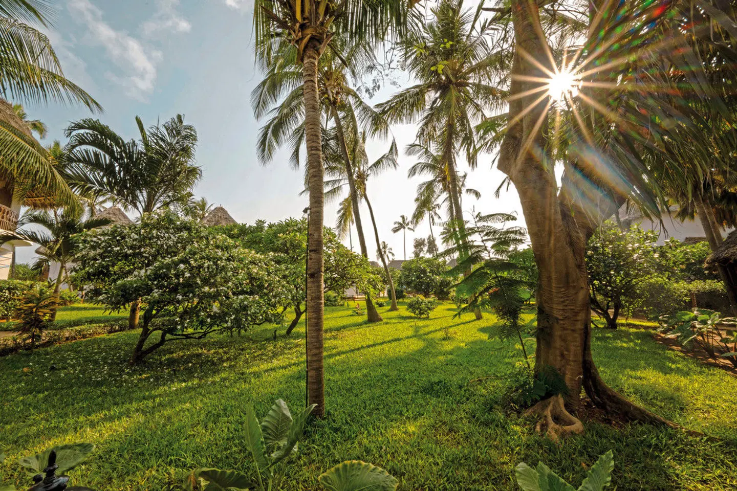 Nungwi Beach Resort by Turaco Garten