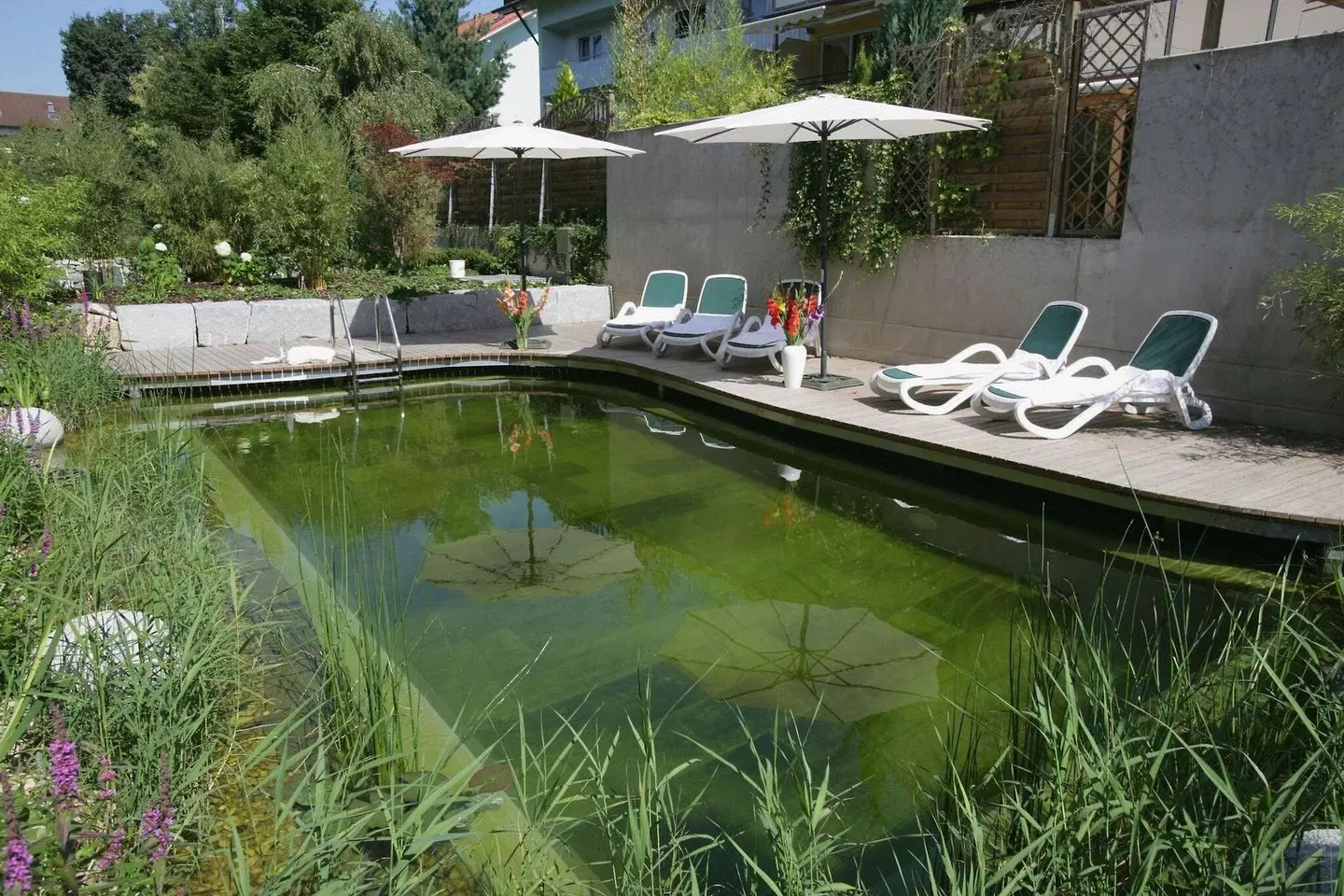 Wunschhotel Mürz, Natural Health & Spa Hotel OUTDOOR_POOL