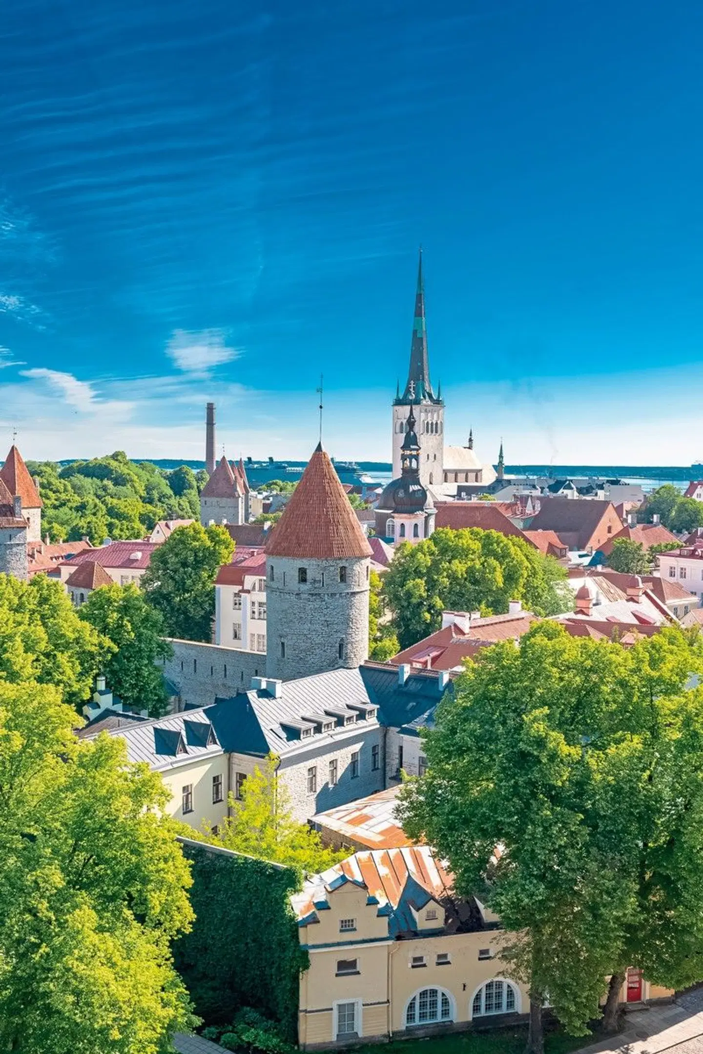 Nordische Nachbarn - Kurzreise von Tallinn nach Helsinki Garten