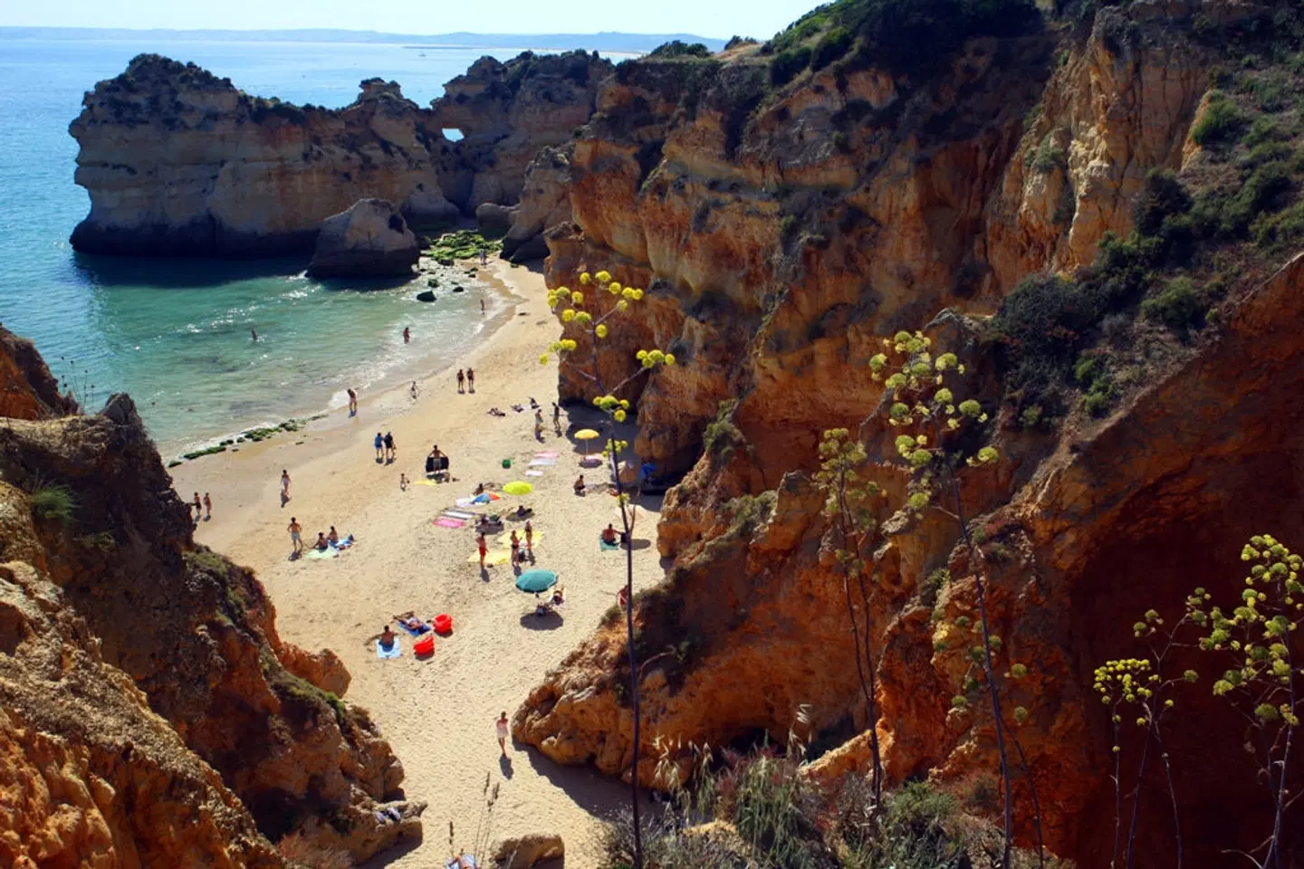 Aldeamento da Prainha LANDSCAPE