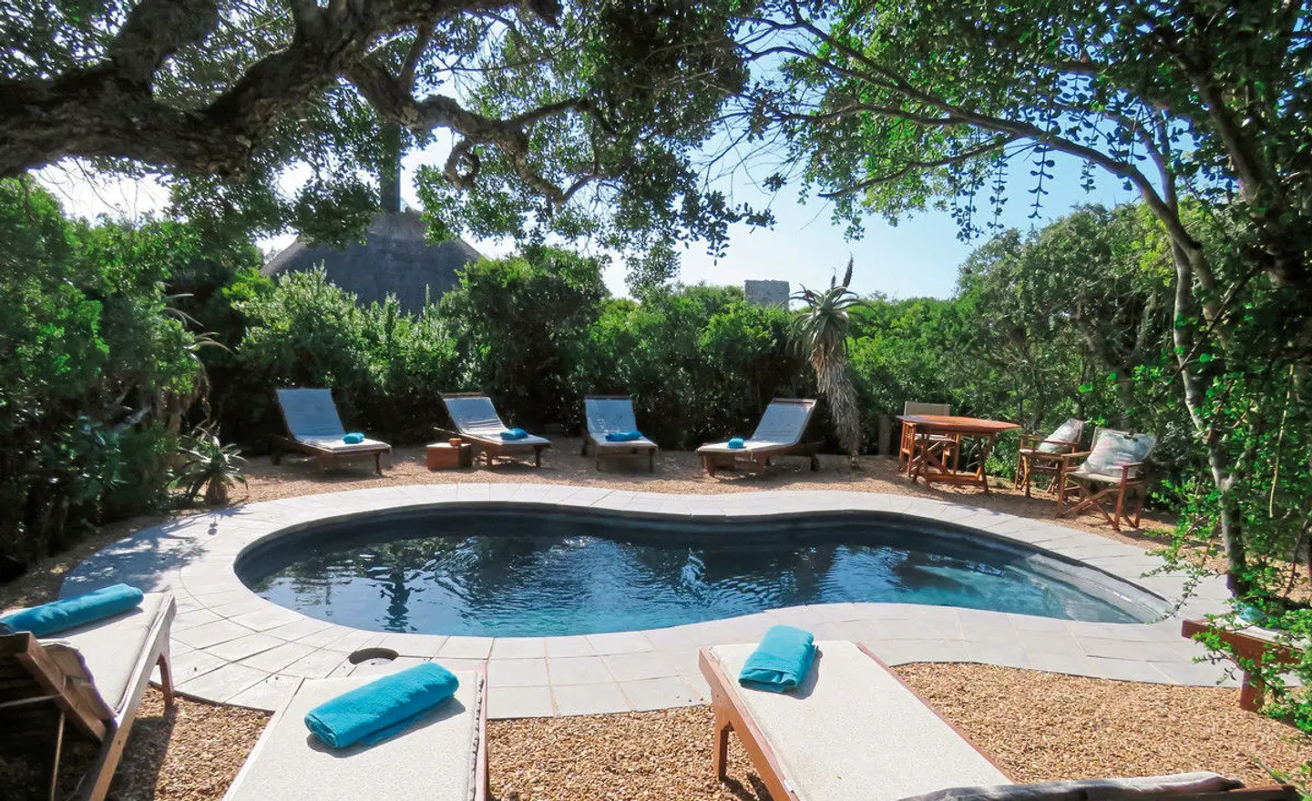 Amakhala Private Game Reserve OUTDOOR_POOL