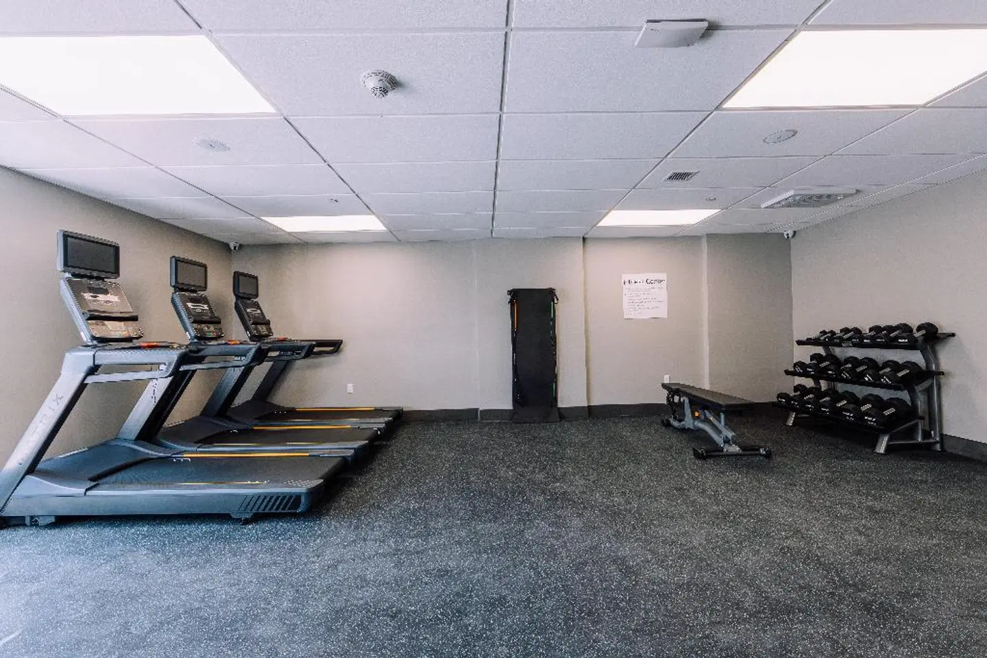Holiday Inn Express Long Island City E - New York by IHG SPORTS_AND_LEISURE